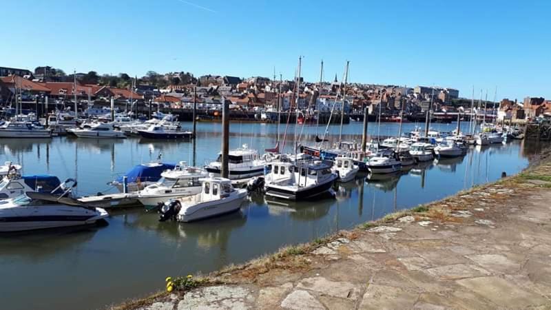 Albion Cottage Whitby Zewnętrze zdjęcie